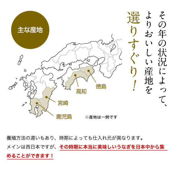 プレゼントギフトお中元御中元暑中見舞いお歳暮お年賀お祝い土用丑夏の土用の丑の日国産うなぎ蒲焼きギフト母の日父の日敬老の日